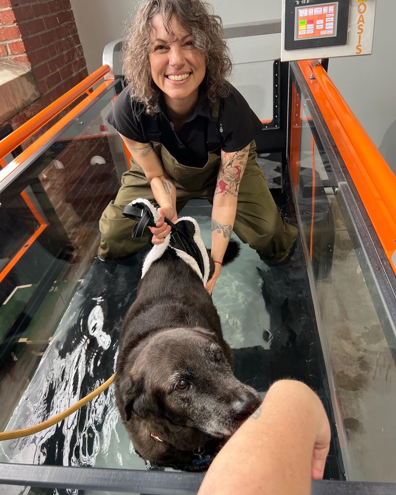 RESURGENCE VETERINARY MOBILITY Updated September 2024 15 Photos