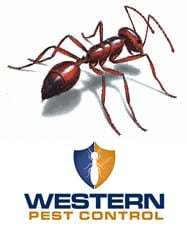 Western Pest Control