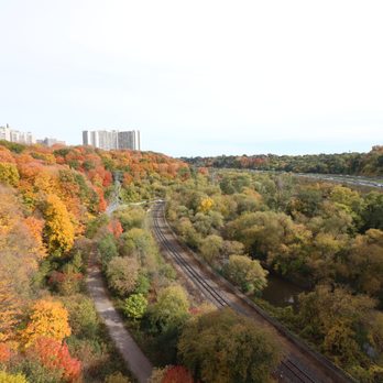 The Don River - Parks Near Me