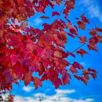 Big Bear Lake Village - fall is here - Local Flavor Near Me Big Bear Lake Village - fall is here - Local Flavor Near Me