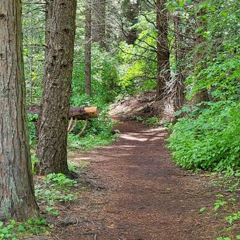 Sly Park Recreation Area - Hiking Near Me - Pollock Pines, California Sly Park Recreation Area - Hiking Near Me - Pollock Pines, California