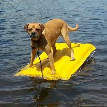 Pemi Shore Cottages - Tucker on the raft - Vacation Rentals Near Me - Franklin, New Hampshire Pemi Shore Cottages - Tucker on the raft - Vacation Rentals Near Me - Franklin, New Hampshire