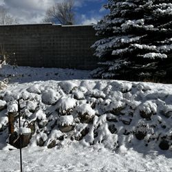 Good Karma Pet Care - Large, well-fenced, multi-level back yard. Dogs LOVE it.