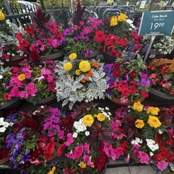 Armstrong Garden Centers