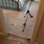 Photo of Quality Carpet Care & Restoration