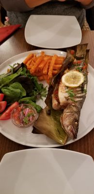 Matiz on The Hill by null