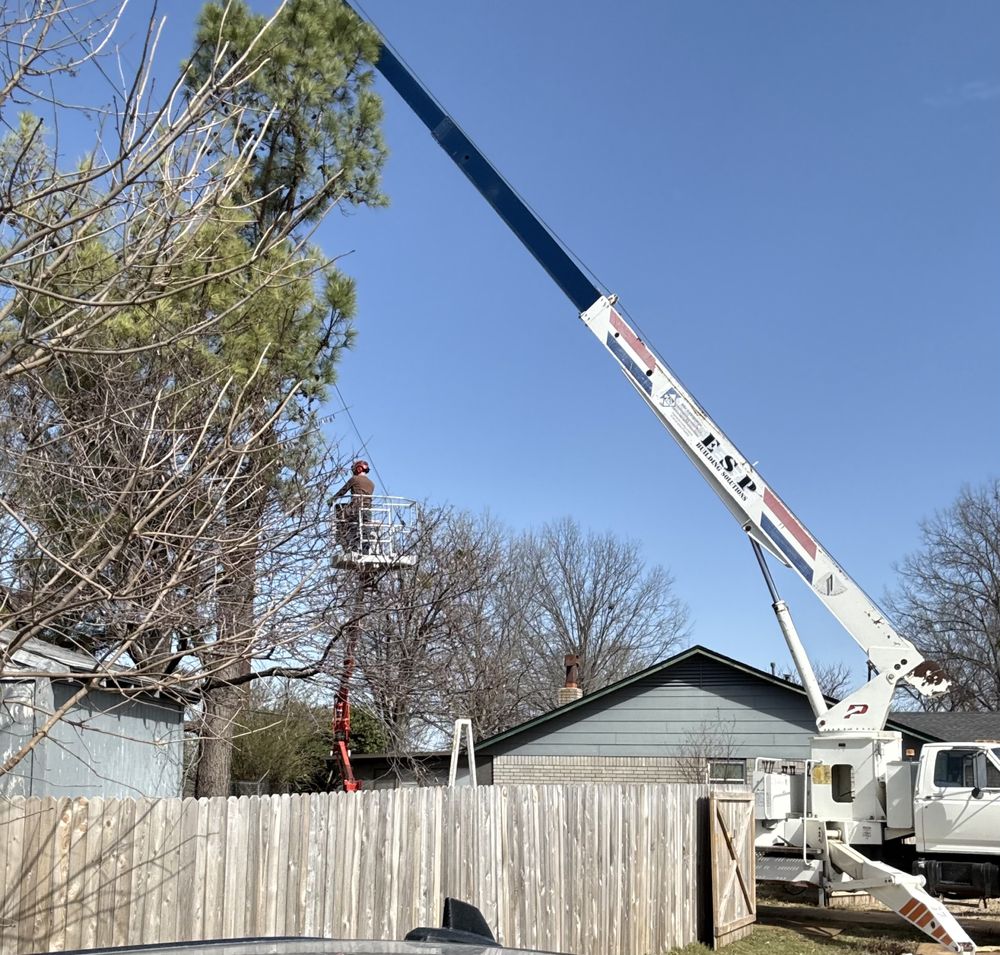 T & M Tree Service - tree service in Coweta, OK