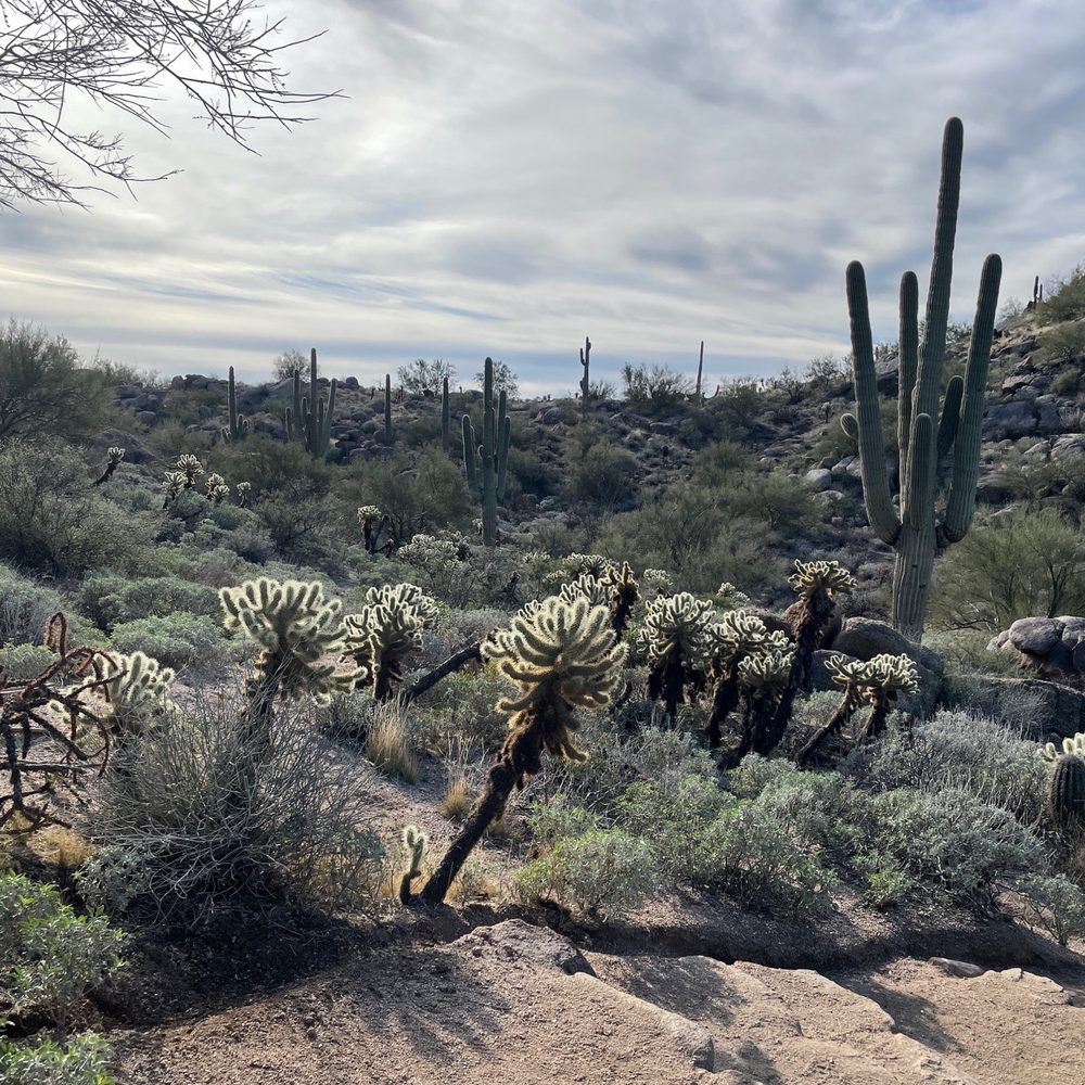Pinnacle Peak Park - Hiking Near Me - Scottsdale, Arizona Pinnacle Peak Park - Hiking Near Me - Scottsdale, Arizona