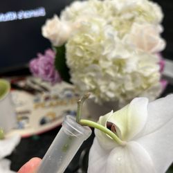 Sylvart Floral Designs - Flower scraps