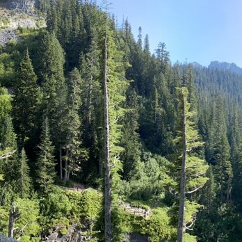 Evergreen Escapes - Tours Near Me - Seattle, Washington