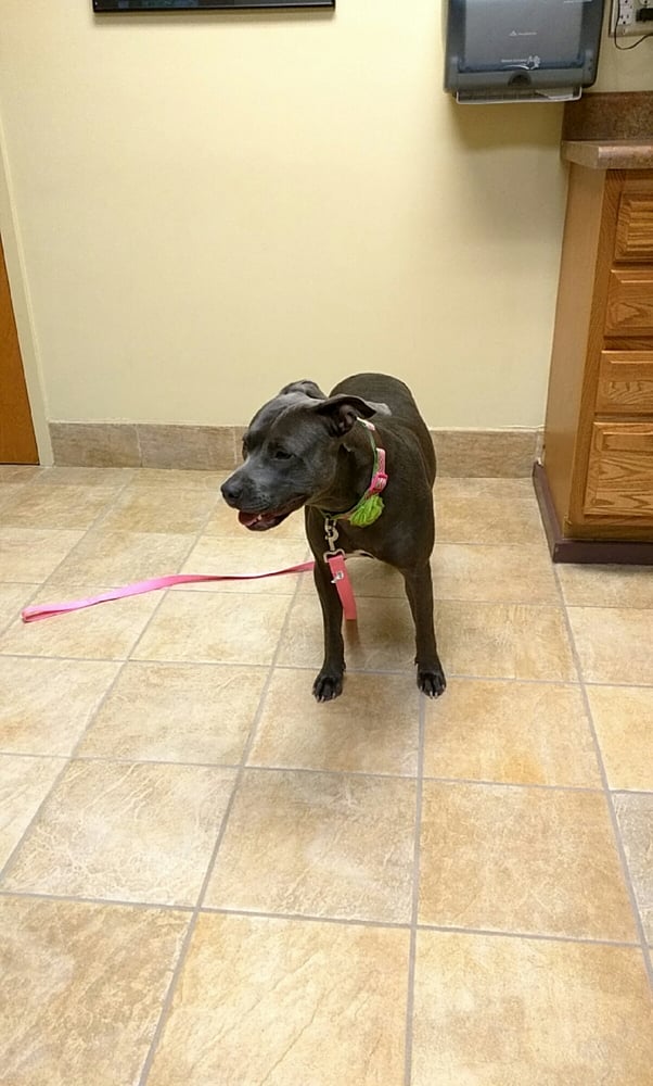 BAHAMA ROAD VETERINARY HOSPITAL Updated October 2024 14 Reviews