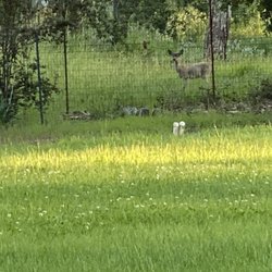 Sonoma Grove