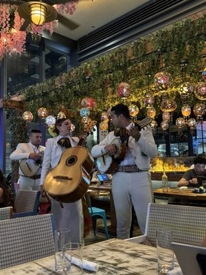 Tacology Brickell - Mexican Taqueria by null
