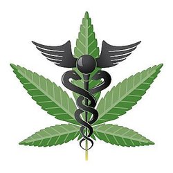 AMC - AMERICAN MEDICAL CONSULTANTS