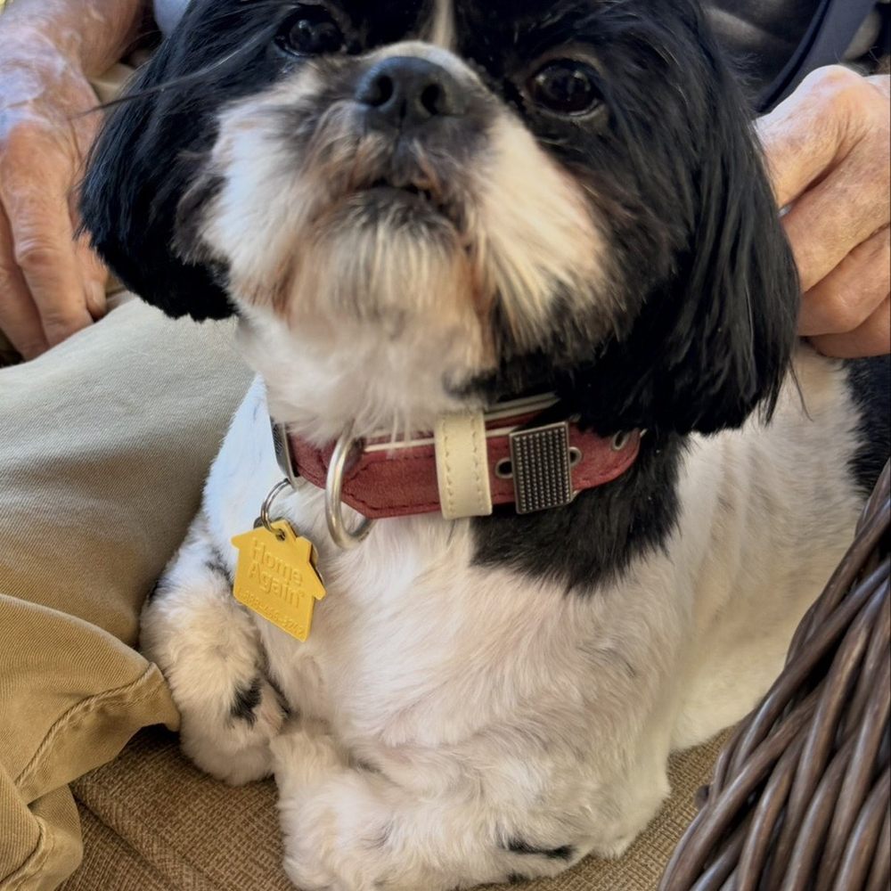 For Pets Only - Pet Stores Near Me - Penn Valley, California