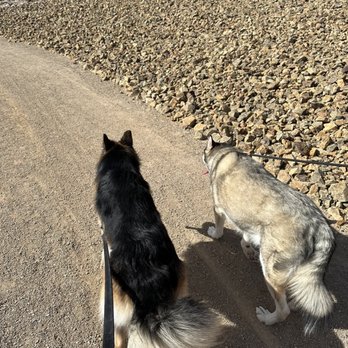 Whitney Mesa Lower Trail - Sundays are for hikes - Parks Near Me - Henderson, Nevada Whitney Mesa Lower Trail - Sundays are for hikes - Parks Near Me - Henderson, Nevada
