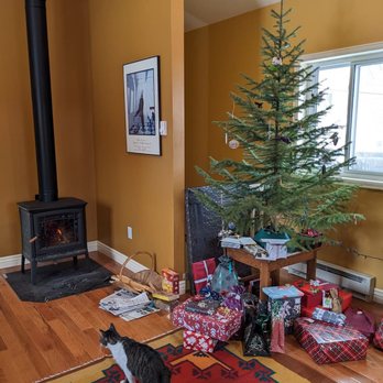 Proper Work - Christmas in the finished addition--time for celebration. - General Contractors Near Me