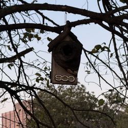 Memphis Visitor Center - Interesting bird house at edge of parking lot