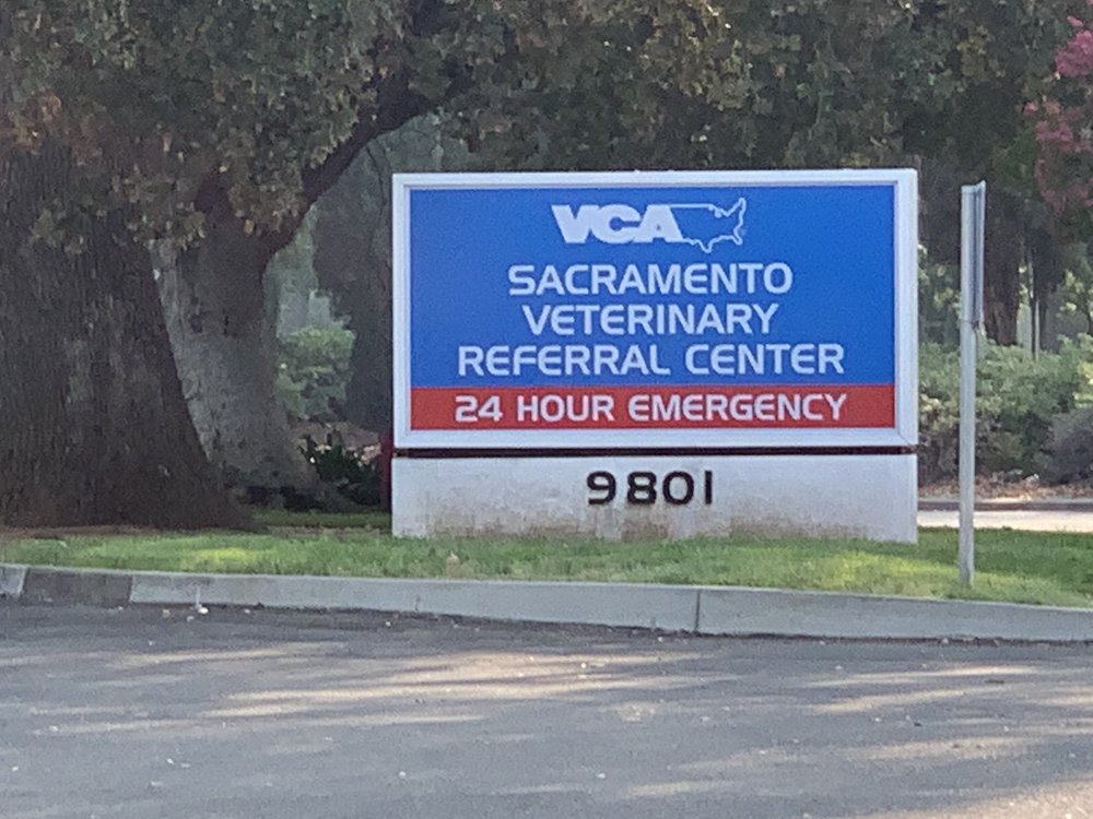 vca mather field road