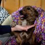Photo of Angel's Furry Friends Rescue