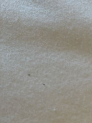 Der Ritterhof Inn by null