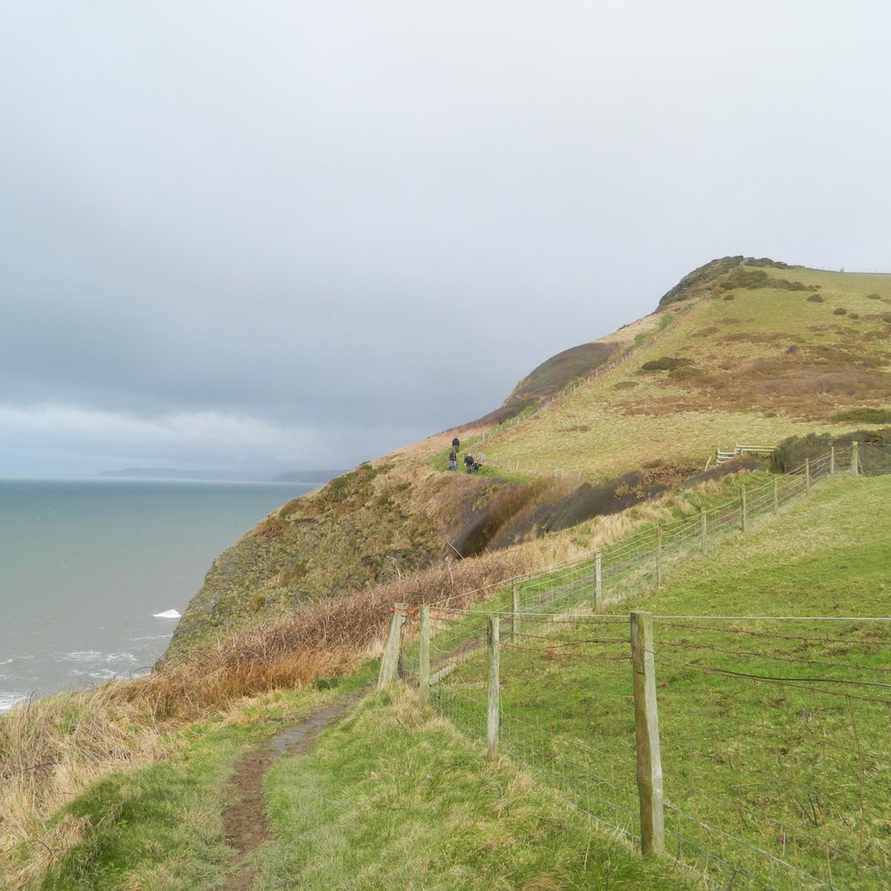 Borth-Aberystwyth Coastal Walk - Hotels & Travel Near Me