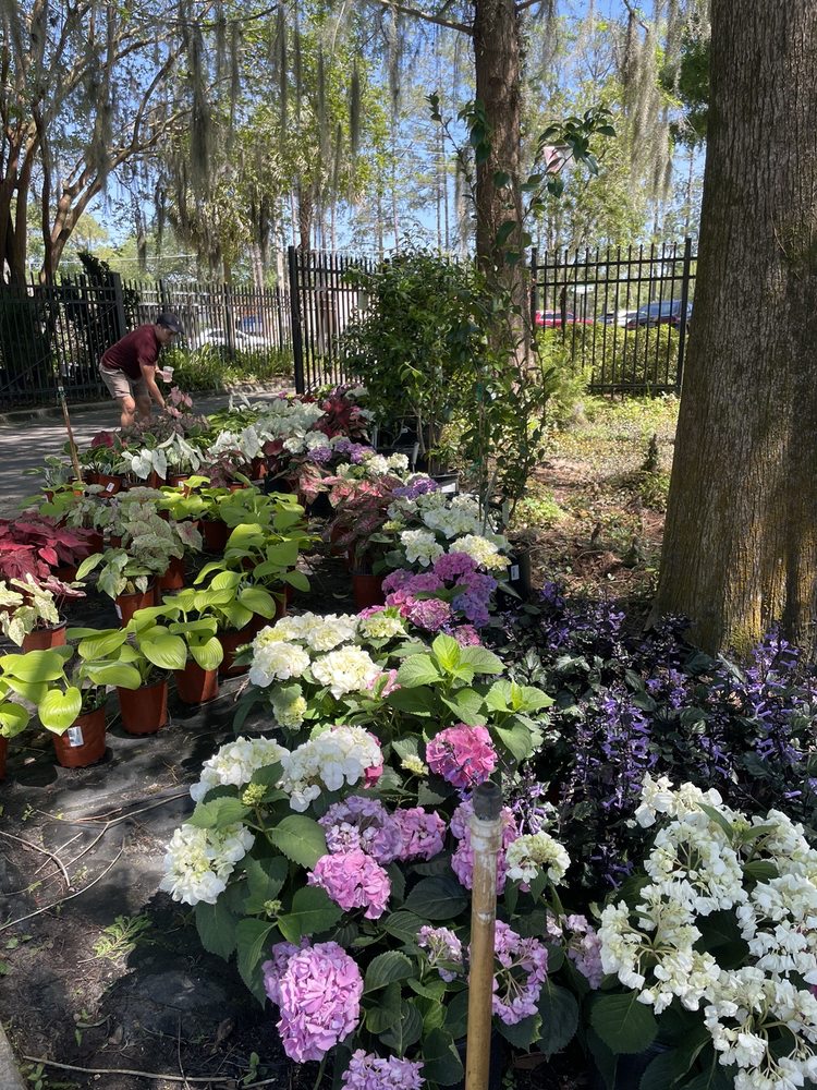 GARDEN GATE NURSERY 20 Photos & 18 Reviews 2406 NW 43rd St