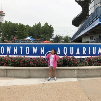 Downtown Aquarium - Museums Near Me - Denver, Colorado Downtown Aquarium - Museums Near Me - Denver, Colorado