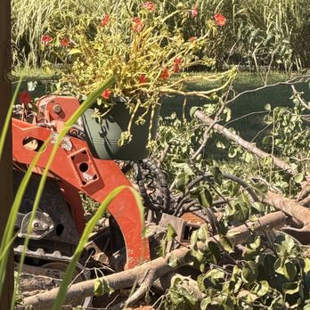 Homestead Tree Service - Tree Services Near Me