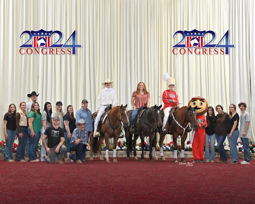 KC's Treining Center - equestrian in Middlefield, OH