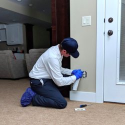 Moxie Pest Control Raleigh Updated Covid 19 Hours Services 12 Photos 48 Reviews Pest Control 2401 Brentwood Rd Raleigh Nc Phone Number Yelp