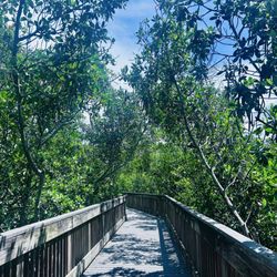 Weedon Island Preserve Cultural and Natural History Center