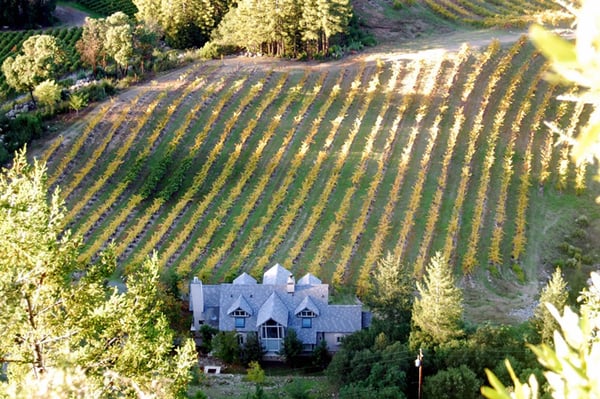 Savor Napa Valley Wine Tours by null