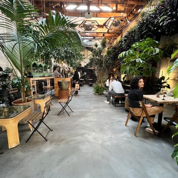 Arcana - Nurseries & Gardening Near Me - San Francisco, California