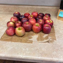 Allen's Orchard - The apples we picked post-wash, they'll make a lovely apple crisp!