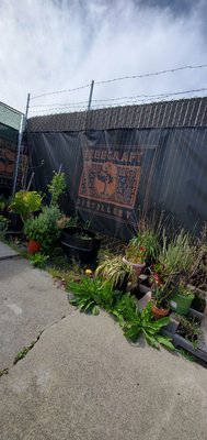 Treecraft Distillery by null