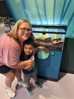 Audubon Insectarium by null