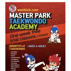 Master Park’s Taekwondo Academy