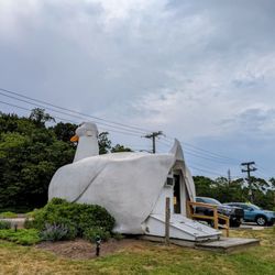 The Big Duck - Back view