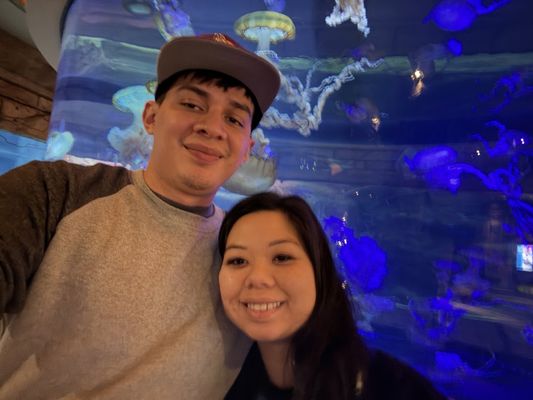 Shark Reef Aquarium at Mandalay Bay by null