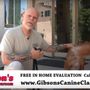 Gibson's Canine Classroom