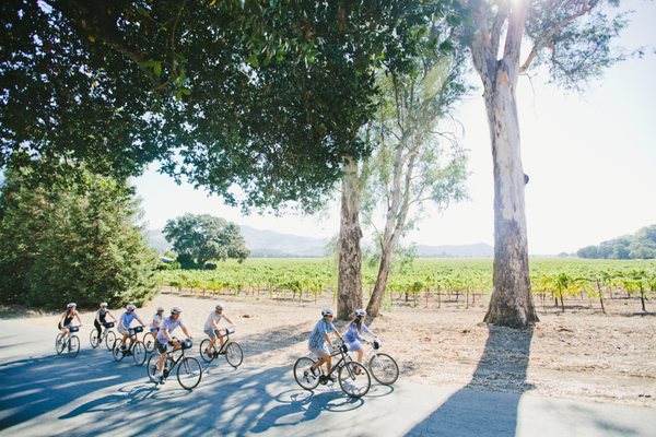 Napa Valley Bike Tours & Rentals by null