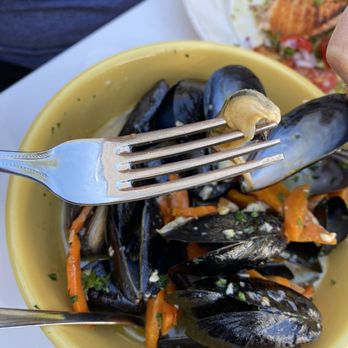 Sandy Point Beach House - Large Mussels - New American Near Me - West Olive, Michigan
