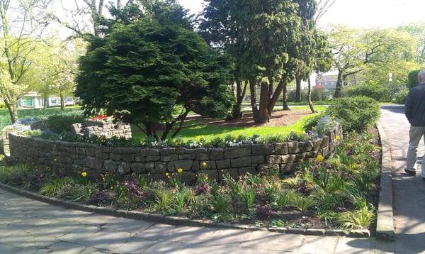 People's Park by null