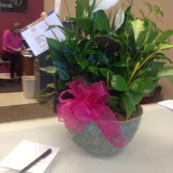 Capehart Floral - Congratulations plant