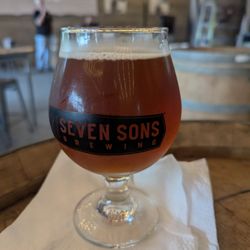 Seven Sons Brewing - Karaoke & brews