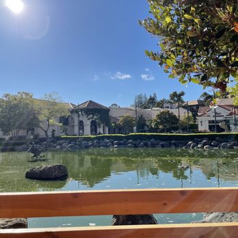 Kabob House - The nice view from sitting outdoors! - Afghan Near Me - Danville, California Kabob House - The nice view from sitting outdoors! - Afghan Near Me - Danville, California