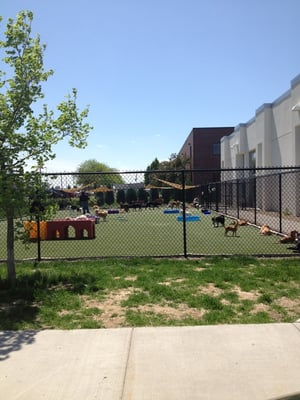 Now Boarding by null