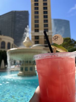 Bellagio Pool by null