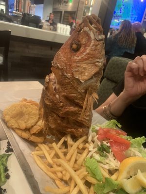 El Cilantrillo Restaurant - Florida Mall by null